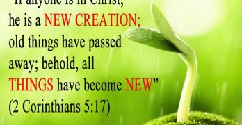 What is Regeneration in the Bible